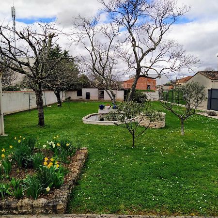קונייאק Maison Plain Pied Avec Jardin, Terrasse Et Veranda מראה חיצוני תמונה
